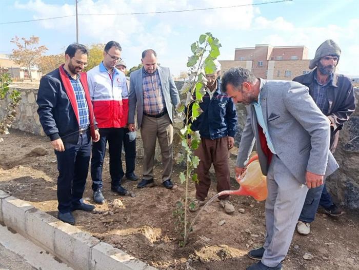 پویش کاشت نهال