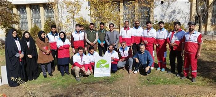 پویش کاشت نهال